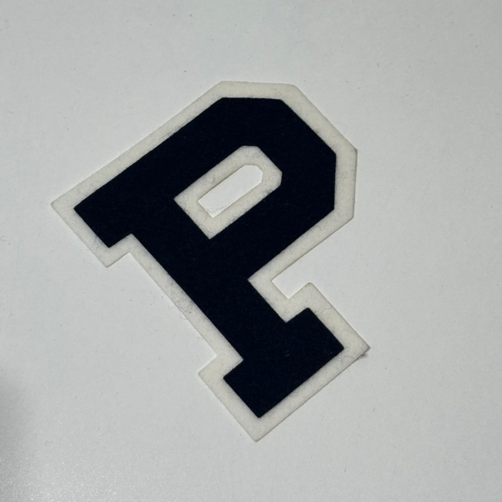 Vintage Chenille Varsity Felt Applique Sew On Craft DIY -‎ P